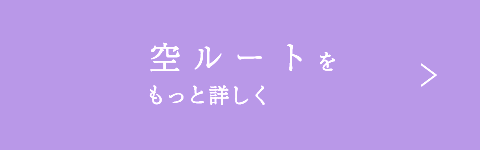 空ルートとは